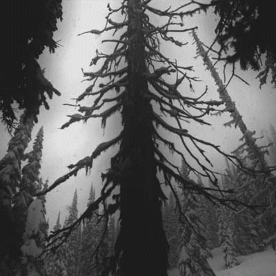 Throne of Eternal Winter